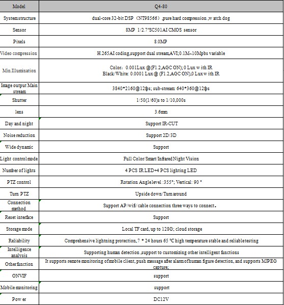 CAMARA 8MP  WIF ICSEE Q4-80